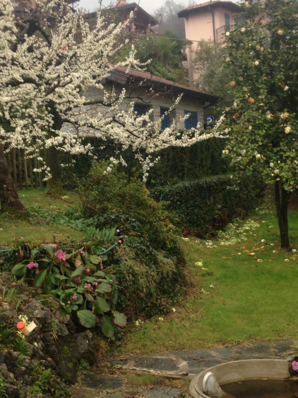 Villa Maria Lago Maggiore Reno Di Leggiuno Exterior foto