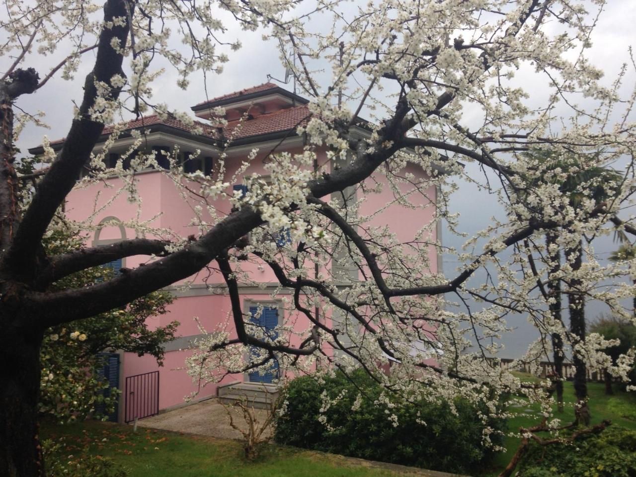 Villa Maria Lago Maggiore Reno Di Leggiuno Exterior foto